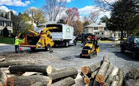 Best Tree Disease Treatment  in South Hill, WA