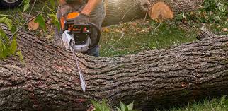 Best Landscape Design and Installation  in South Hill, WA